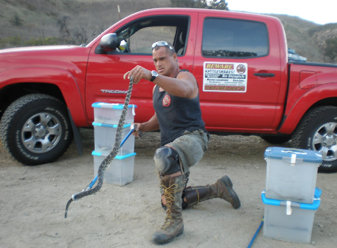 Rattlesnake Avoidance Training - Ken Oder